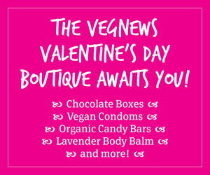 VNL.VNValentine'sStore