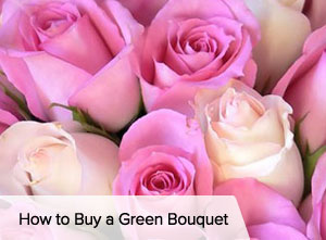 VegNews.FlowersRosesPink
